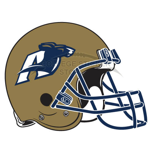 Customs Akron Zips Iron-on Transfers (Wall Stickers)NO.3701